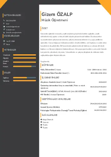 Müzik Öğretmeni Cv Örnekleri cv indir